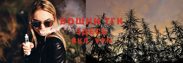 таблы Новодвинск
