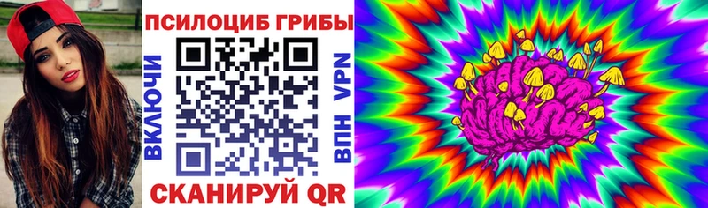 Галлюциногенные грибы ЛСД  маркетплейс телеграм  Славск 